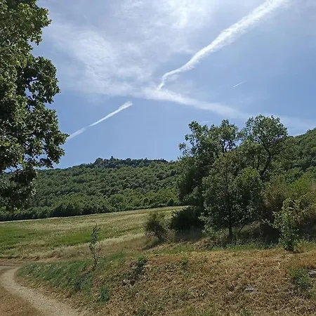 Gite Avec Piscine 